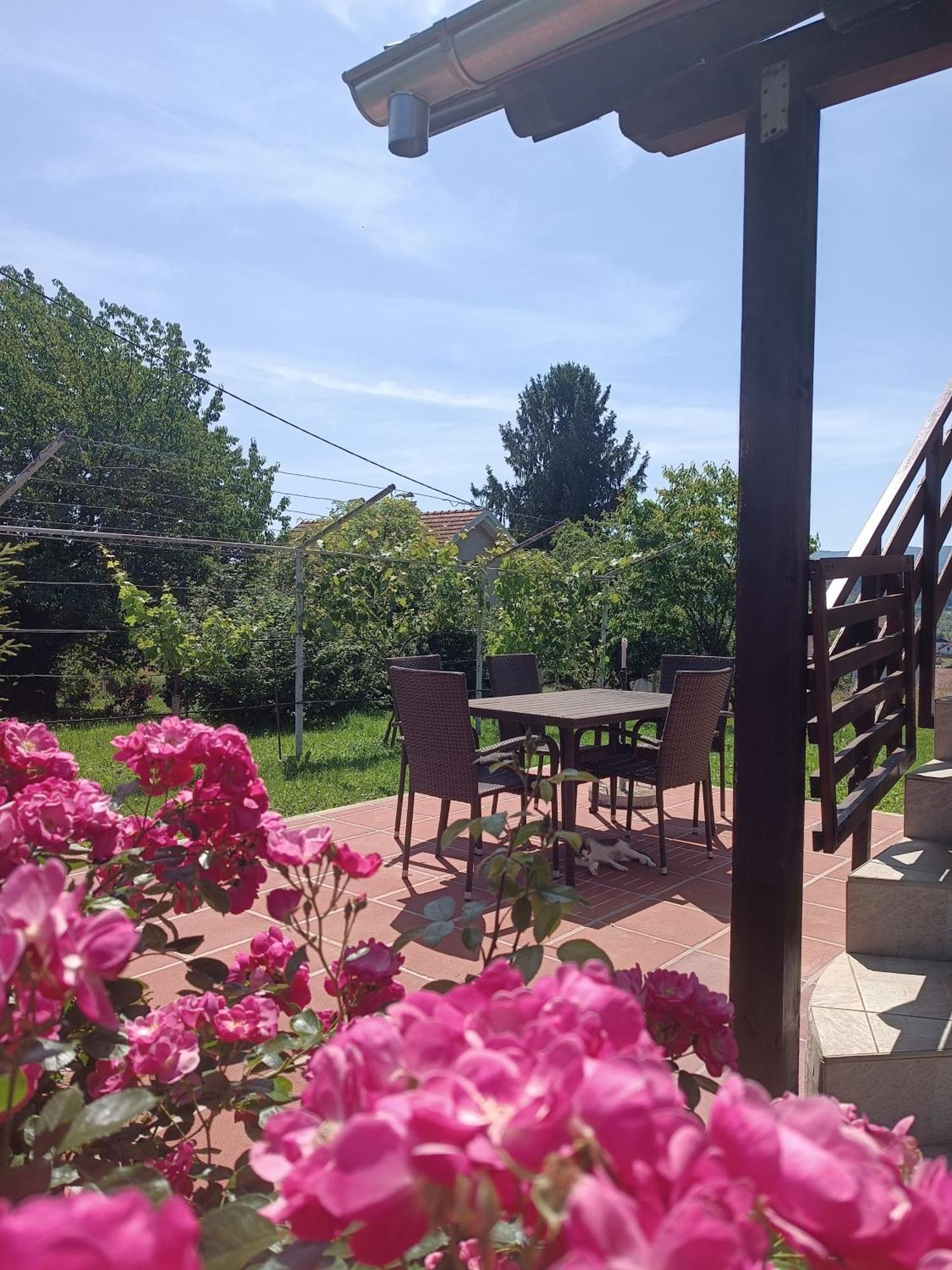 Apartman Petra Zabok Exterior foto